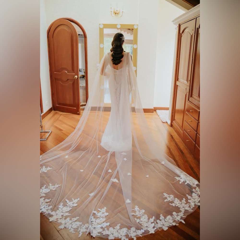 Galina Signature Wedding Dress Size 2 with wings